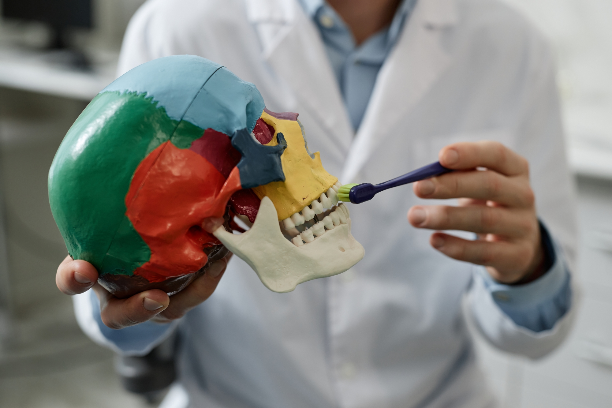 Doctor holding skull model and toothbrush at Premier Oral and Maxillofacial Surgery Group.