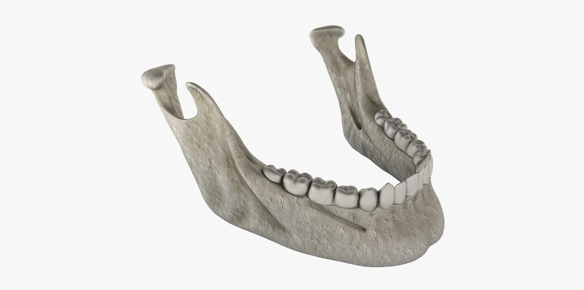 Premier Oral and Maxillofacial Surgery group presents a 3D medical illustration of a human lower jawbone with teeth.